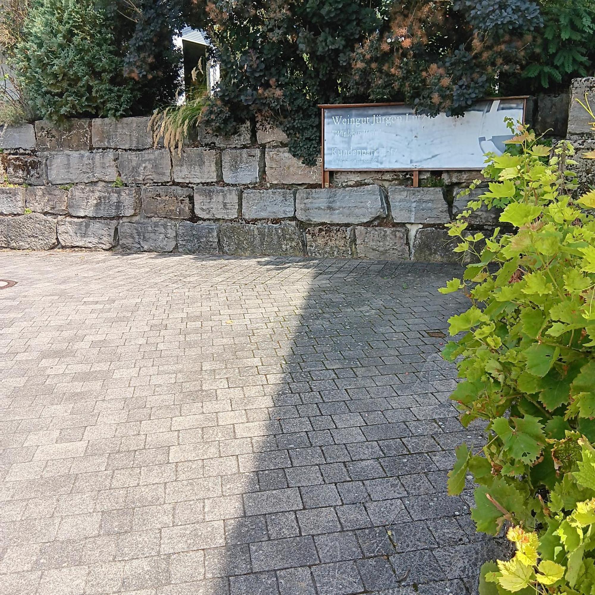 Weingut Juergen - Lutz Apartment Angelbachtal Exterior photo